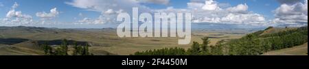 Panorama de la steppe de Mongolie en été avec herbe, champs, et arbres. Dans les collines et les montagnes de Mongolie avec des nuages dans le bleu Banque D'Images