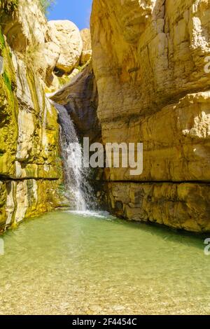 Vue sur la cascade cachée le long du ruisseau Arugot, dans la réserve naturelle d'Ein Gedi, près de la mer Morte, dans le sud d'Israël Banque D'Images