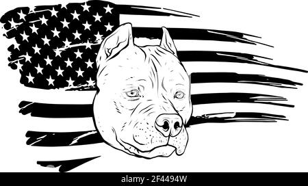 Dessinez en noir et blanc de Head Pitbull avec american illustration du vecteur drapeau Illustration de Vecteur