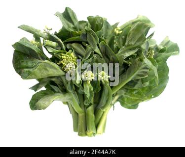 bébé de brocoli frais isolé sur un fond blanc. Banque D'Images