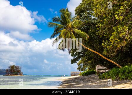 Géographie / Voyage, Seychelles, la Digue, Anse Union, plage avec palmiers, droits-supplémentaires-déstockage-Info-non-disponible Banque D'Images