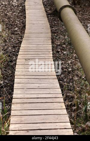 Passerelle en bois passerelle en bois Banque D'Images