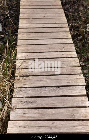 Passerelle en bois passerelle en bois Banque D'Images