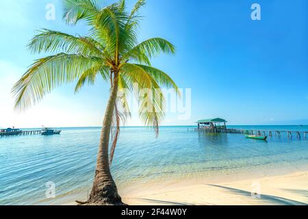 Vue sur la mer avec des palmiers tropicaux sur une belle plage de sable à Phu Quoc Island, Vietnam. C'est l'une des meilleures plages du Vietnam. Banque D'Images