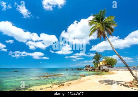 Plage ensoleillée avec noix de coco surplombant l'île et ciel bleu ciel nuageux propre front de mer dans l'île perles Phu Quoc, Vietnam Banque D'Images