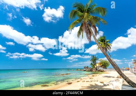 Plage ensoleillée avec noix de coco surplombant l'île et ciel bleu ciel nuageux propre front de mer dans l'île perles Phu Quoc, Vietnam Banque D'Images