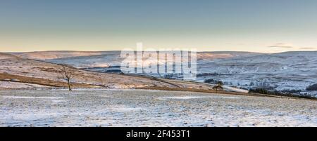 Un arbre isolé dans un champ de neige à Weardale, dans le comté de Durham, au Royaume-Uni Banque D'Images