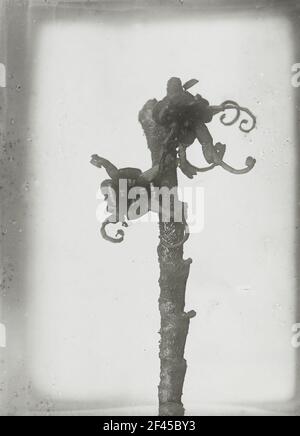 AST avec fleurs de l'expert japonais (Hamamelis japonica) Banque D'Images