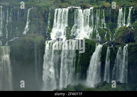 Les chutes d'Iguazu s'étendent sur 2.7 km et comprennent des centaines d'autres chutes d'eau. Tout autour des chutes se trouve le parc national d'Iguazú, une forêt tropicale Banque D'Images