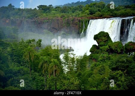 Les chutes d'Iguazu s'étendent sur 2.7 km et comprennent des centaines d'autres chutes d'eau. Tout autour des chutes se trouve le parc national d'Iguazú, une forêt tropicale Banque D'Images