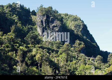 AUCKLAND, NOUVELLE-ZÉLANDE - 01 janvier 1970 : les montagnes rocheuses couvertes d'arbres contre le ciel bleu Banque D'Images