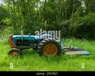 Un vieux tracteur diesel Fordson Super Major dans une pelouse longue dans une clairière de bois. Banque D'Images