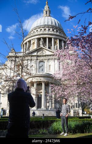 Londres, Royaume-Uni. 19 mars 2021. Les gens posent pour des photos devant des arbres en fleurs, en face de la cathédrale Saint-Paul à Londres. Date de la photo : vendredi 19 mars 2021. Crédit photo devrait lire crédit: Matt Crossick/Alamy Live News Banque D'Images