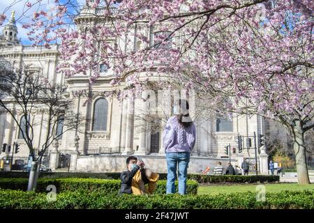 Londres, Royaume-Uni. 19 mars 2021. Les gens posent pour des photos devant des arbres en fleurs, en face de la cathédrale Saint-Paul à Londres. Date de la photo : vendredi 19 mars 2021. Crédit photo devrait lire crédit: Matt Crossick/Alamy Live News Banque D'Images