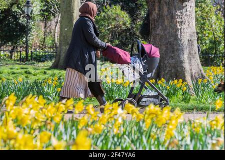 Londres, Royaume-Uni. 19 mars 2021. Les gens apprécient le temps printanier et les jonquilles à Green Park alors que Londres commence à sortir de l'enfermement 3. Crédit : Guy Bell/Alay Live News Banque D'Images