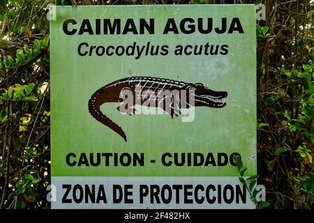 Signpost disant méfiez-vous des crocodiles, des caymans, en espagnol sur la côte des caraïbes du parc national de tayrona en Colombie, en Amérique du Sud Banque D'Images
