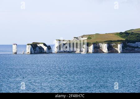 Old Harry Rocks et Ballard dans Studland Bay près de Swanage, Dorset, Royaume-Uni Banque D'Images