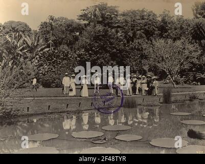 Buitenzorg (Bogor), Java / Indonésie. Jardin botanique (1817, K. G. K. Reinwardt). Groupe touristique en face d'un étang avec Victoria Regia Banque D'Images