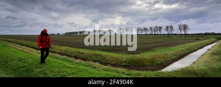 Walker au phare de Sir Peter Scott, connu sous le nom de phare est, River Nene, village de Sutton Bridge, district de South Holland, Lincolnshire, Anglais Banque D'Images