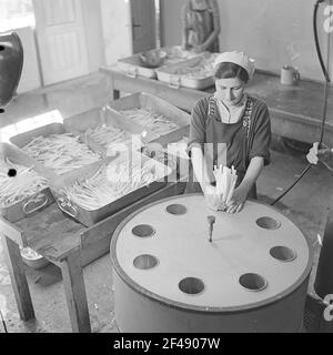 La femme remplit les asperges pelées et suspectées d'être blanchies en boîtes Banque D'Images