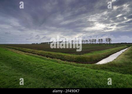 Le phare de Sir Peter Scott, connu sous le nom de phare est, River Nene, village de Sutton Bridge, district de South Holland, Lincolnshire, Angleterre. Banque D'Images