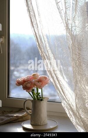 Bouquet de ranunculus rose dans vase près de la fenêtre Banque D'Images