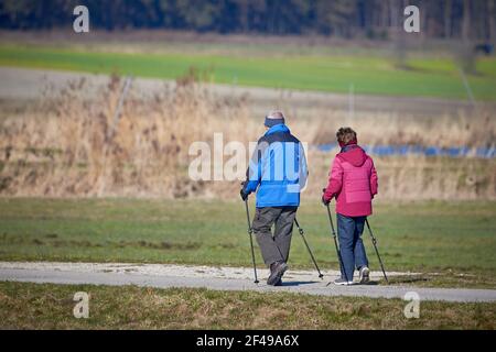 Couple Senior non identifié, homme et femme marchant dans un parc naturel en utilisant des bâtons de randonnée Banque D'Images