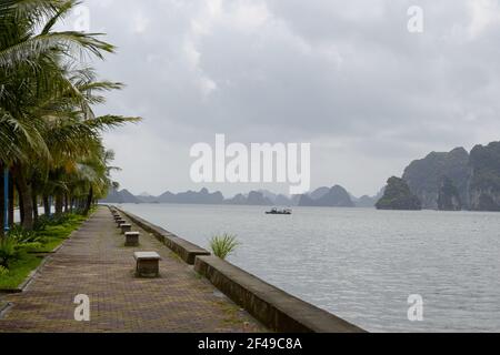 Front de mer vide avec palmiers et bancs avec vue sur la baie de Halong (Ha long) - site classé au patrimoine mondial de l'UNESCO et destination de voyage populaire. Banque D'Images