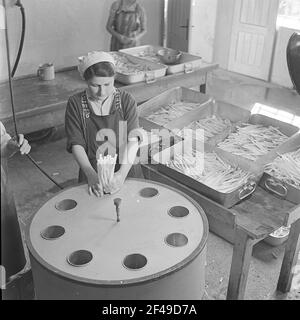 La femme remplit les asperges pelées et suspectées d'être blanchies en boîtes Banque D'Images