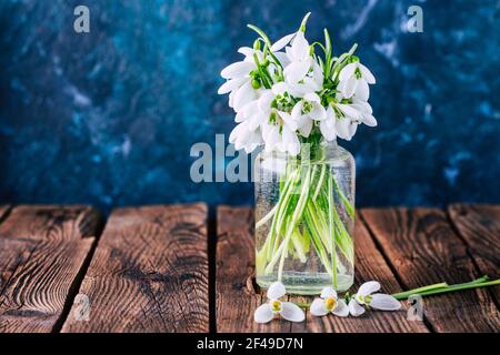 Gouttes de neige dans un vase en verre. Fleurs du premier printemps Banque D'Images