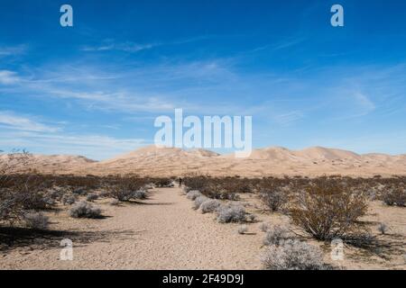 Vue sur les dunes de Kelso dans le désert de Mojave Banque D'Images