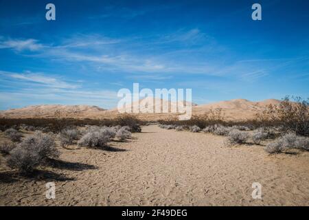 Vue sur les dunes de Kelso dans le désert de Mojave Banque D'Images