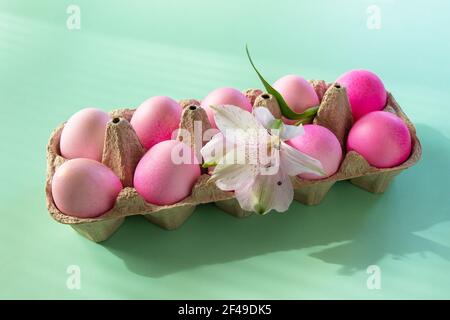 Concept de Pâques minimal. Ambiance printanière festive, décor naturel. Éléments de Pâques, boîte en papier avec œufs dans les couleurs roses et fleur sur fond vert pastel. Banque D'Images