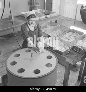 La femme remplit les asperges pelées et suspectées d'être blanchies en boîtes Banque D'Images