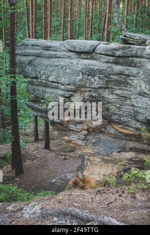 formation de champignons rocheux à partir de grès à l'intérieur d'une forêt Pendant la saison d'été dans la réserve naturelle piékielko en Pologne Banque D'Images