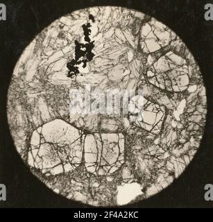 Coupe fine : eclogite (Fostigrau) Banque D'Images