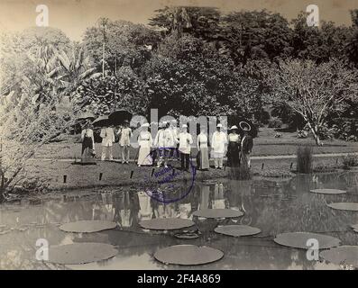 Buitenzorg (Bogor), Java / Indonésie. Jardin botanique (1817, K. G. K. Reinwardt). Groupe touristique en face d'un étang avec Victoria Regia Banque D'Images