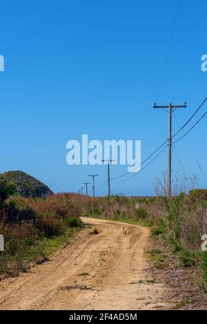 Des courbes de route rugueuses en terre autour des collines herbeuses et à travers les champs bordés de poteaux téléphoniques sous le ciel bleu. Banque D'Images