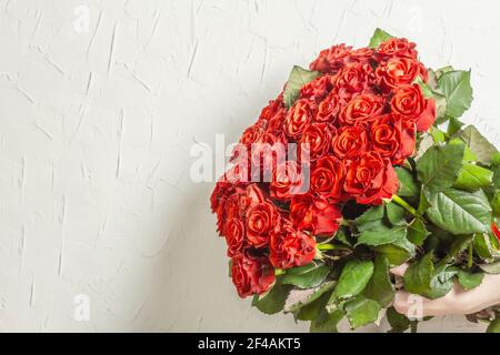 Les mains de la femme tiennent un bouquet luxuriant de roses rouges fraîches. Composition florale sur fond de plâtre blanc. Concept de carte de fête, place pour le texte Banque D'Images