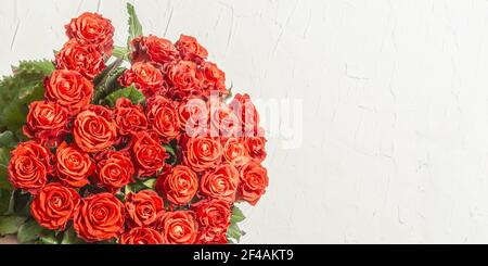 Les mains de la femme tiennent un bouquet luxuriant de roses rouges fraîches. Composition florale sur fond de plâtre blanc. Concept de carte de fête, place pour le texte Banque D'Images