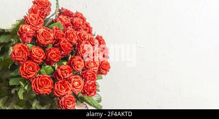 Les mains de la femme tiennent un bouquet luxuriant de roses rouges fraîches. Composition florale sur fond de plâtre blanc. Concept de carte de fête, place pour le texte Banque D'Images