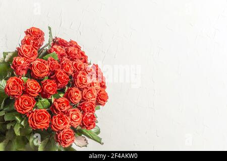 Les mains de la femme tiennent un bouquet luxuriant de roses rouges fraîches. Composition florale sur fond de plâtre blanc. Concept de carte de fête, place pour le texte Banque D'Images