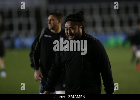 Newcastle, Royaume-Uni. 14 mars 2021. NEWCASTLE UPON TYNE, ANGLETERRE. 19 MARS LogoviÕi Mulipola de Newcastle Falcons photographié avant le match de première division de Gallagher entre Newcastle Falcons et Wasps à Kingston Park, Newcastle, le vendredi 19 mars 2021. (Credit: Chris Lishman | MI News) Credit: MI News & Sport /Alay Live News Banque D'Images