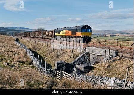 Classe 66 Loco transporte du bois vers le sud sur le chemin de fer Settle-Carlisle jusqu'aux travaux de Kronospan à Chirk. Vue à Selside dans le parc national de Yorkshire Dales Banque D'Images