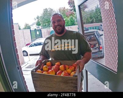 Bigg Riggs propriétaire agricole Calvin Riggleman a trois variétés de pommes dans plusieurs caisses à Nottingham Elementary School à Arlington, VA, pour un déjeuner à l'École nationale de l'événement de la semaine, le mercredi 12 octobre, 2011. Les agriculteurs de Bigg Riggs Farm dans le comté de Hampshire, WV, et marché de l'avenue Maple Farm à Vienne, VA étaient très populaires auprès des élèves. Menu d'aujourd'hui inclus, poulet rôti Courge rôtie avec canneberges séchées, salade de laitue mixte frais de la ferme, de la Turquie, des enveloppements corporels, des morceaux de pain pita, muffins chauds, les carottes, les poires asiatiques et plus encore. Banque D'Images