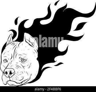 dessinez en noir et blanc la tête du pitbull de chien avec vecteur de flammes Illustration de Vecteur