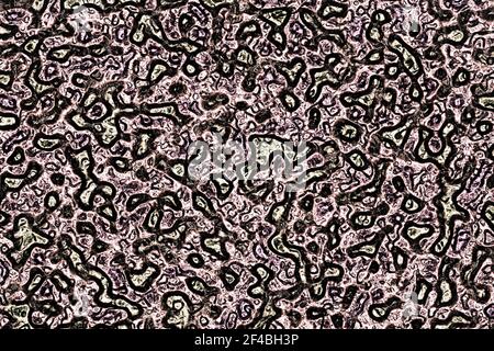 illustration de l'arrière-plan ou de la texture de l'image d'un ordinateur sombre et artistique Banque D'Images