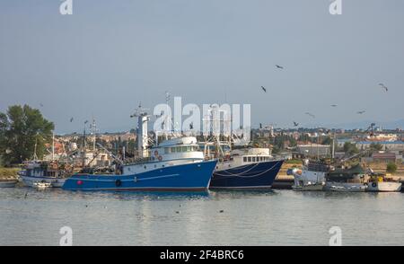 Croatie, 7 juillet 2019 : bateaux de pêche dans le port. Avec des seagulles. Banque D'Images