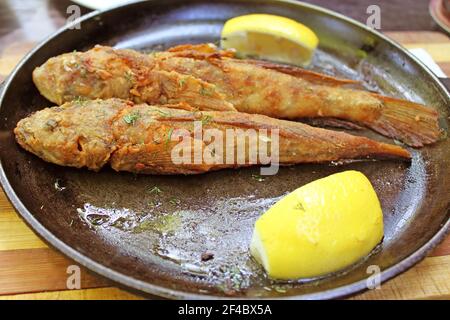 Poisson-mulet frit Banque D'Images