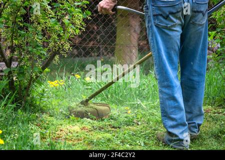 Le jardinier tond de l'herbe à l'aide d'une débroussailleuse dans le jardin près de la clôture. Coupe de l'herbe au printemps. Banque D'Images